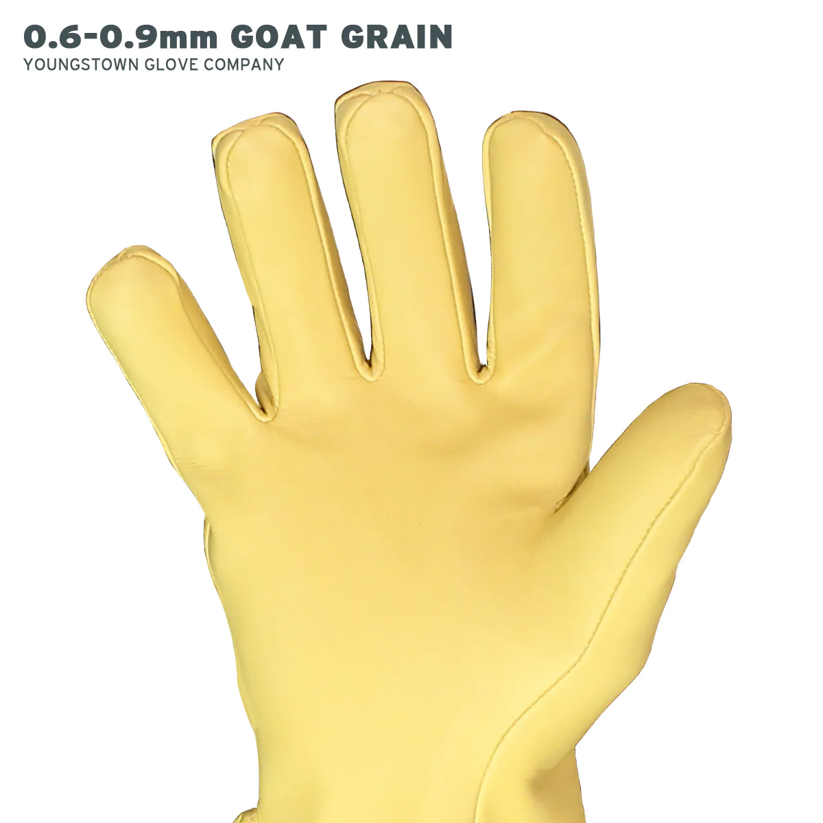 10" Secondary Protector - Image 5
